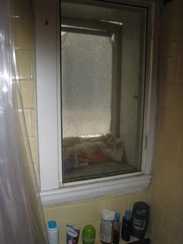 Photo 23 of Commonwealth Ave. Unit 5