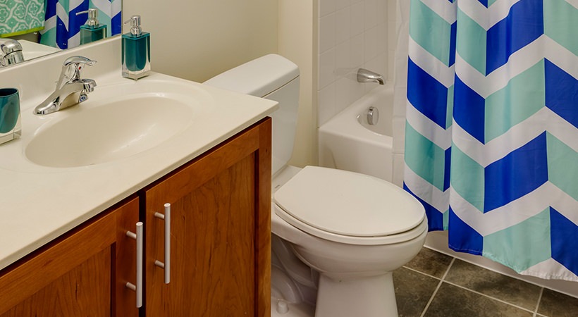 Studio bed, 1 bath apartment for rent at 401 Mount Vernon St Unit 1, Dorchester — photo 7 of 7