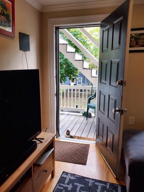 22 Chestnut Ave, Jamaica Plain