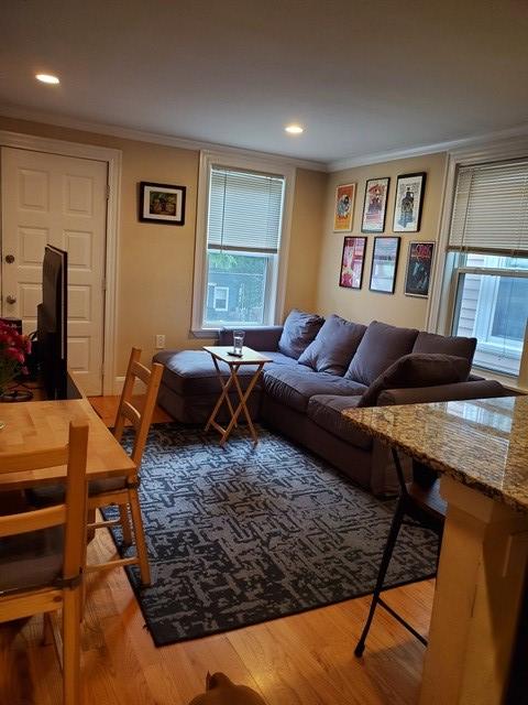 22 Chestnut Ave, Jamaica Plain