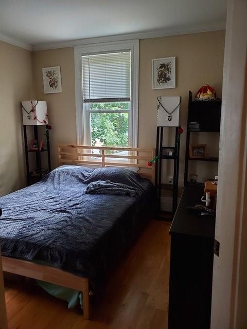 22 Chestnut Ave, Jamaica Plain