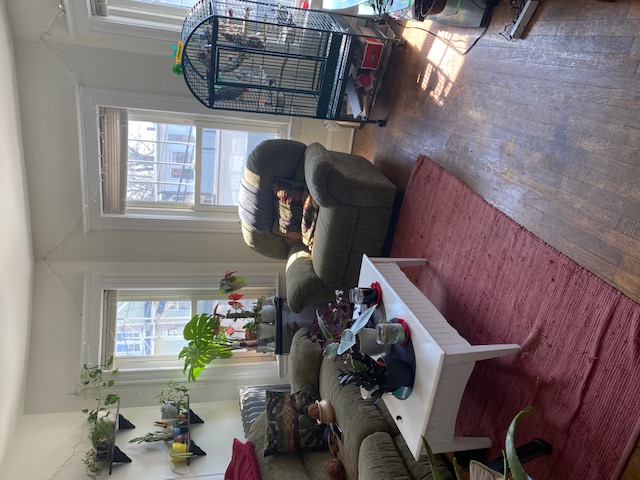 3 bed, 2 bath apartment for rent at 4 Berwick Rd Unit 2, Medford — photo 38 of 47