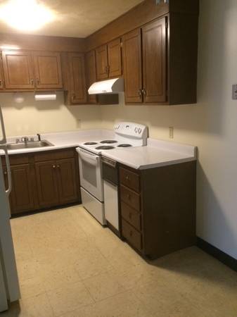 2 bed, 1 bath apartment for rent at 99 Willow St Unit 8, Chelsea — photo 2 of 9