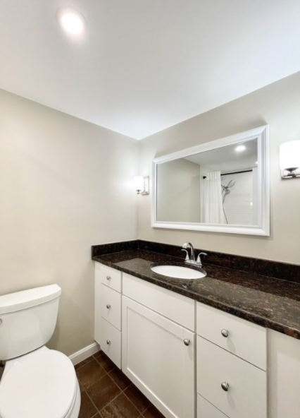 2 bed, 2 bath apartment for rent at 50-56 Broadlawn Park Unit 110, Chestnut Hill — photo 15 of 19