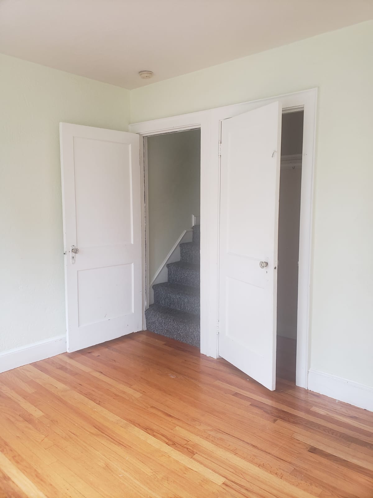 4 bed, 2 bath apartment for rent at 43 Hatherly Rd, Brighton — photo 44 of 50