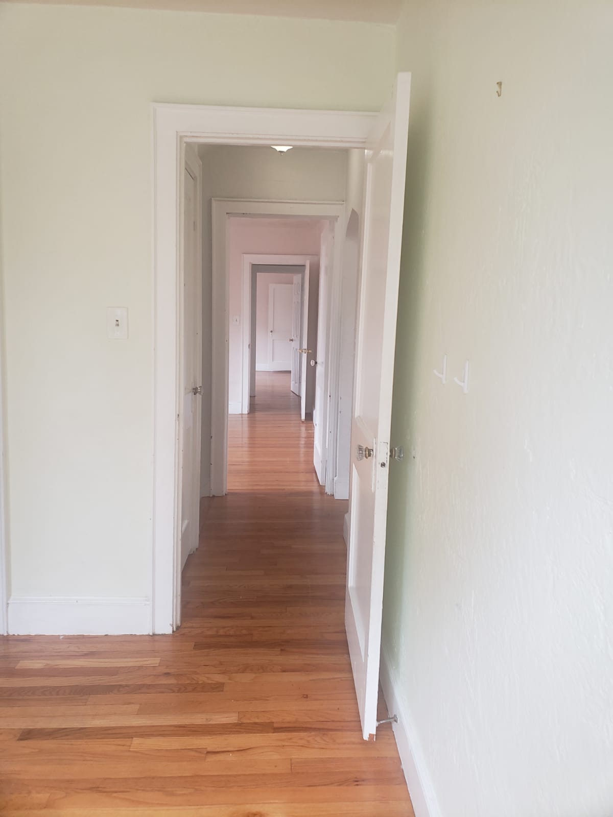 4 bed, 2 bath apartment for rent at 43 Hatherly Rd, Brighton — photo 45 of 50
