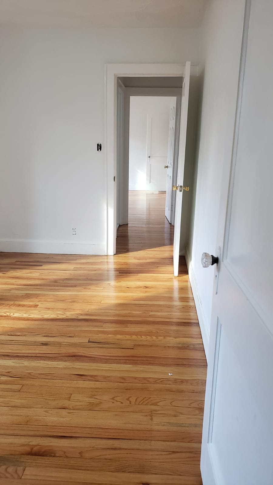 4 bed, 2 bath apartment for rent at 43 Hatherly Rd, Brighton — photo 16 of 50