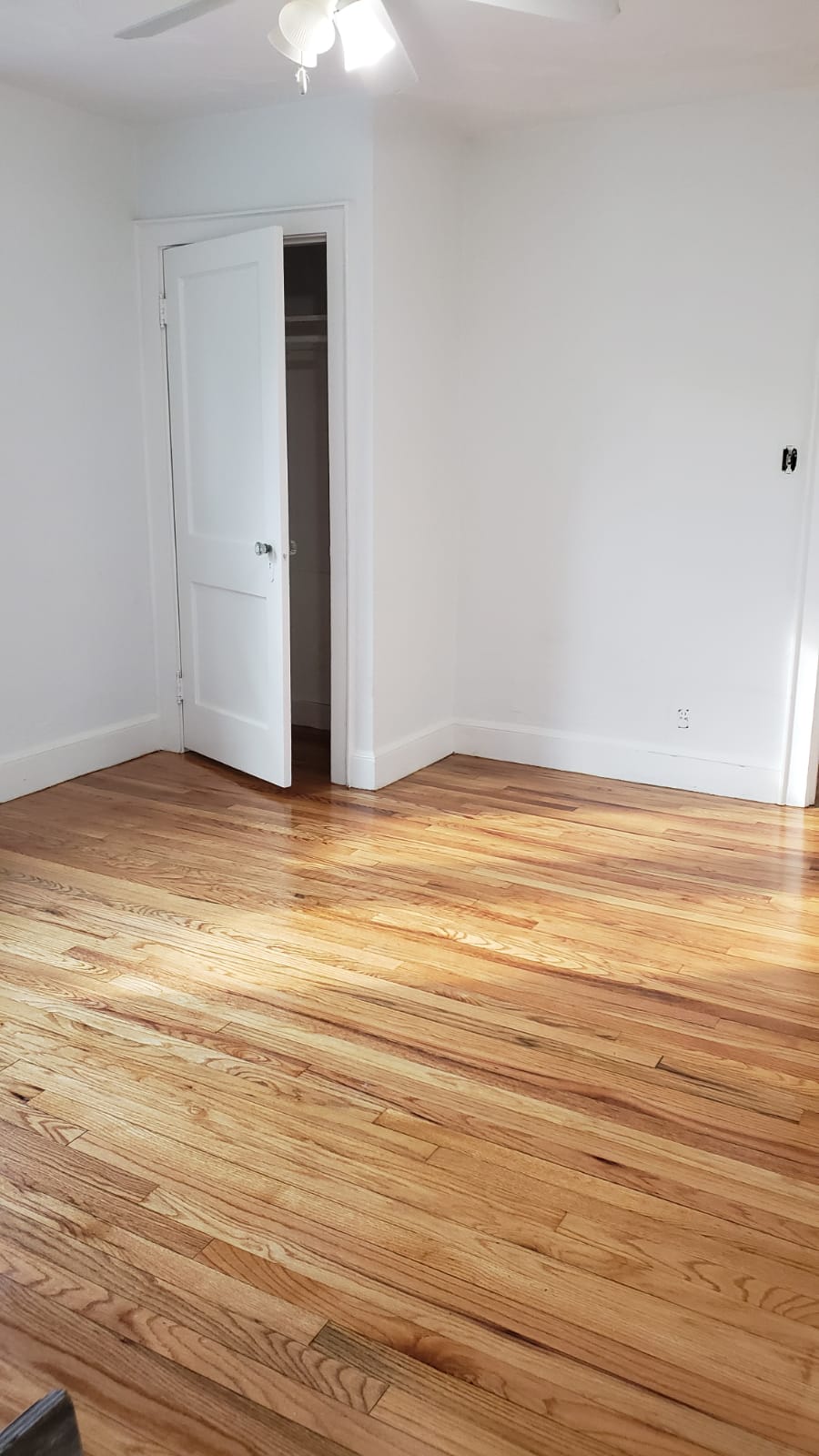 4 bed, 2 bath apartment for rent at 43 Hatherly Rd, Brighton — photo 17 of 50