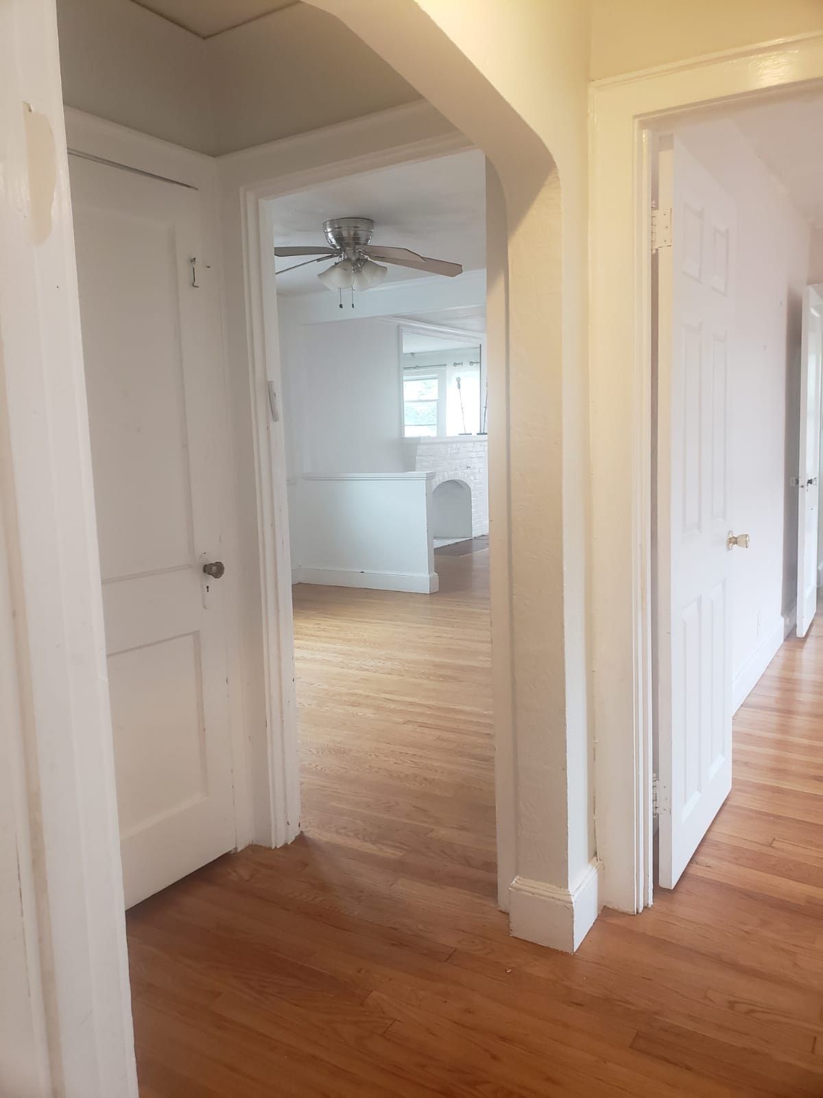 4 bed, 2 bath apartment for rent at 43 Hatherly Rd, Brighton — photo 21 of 50