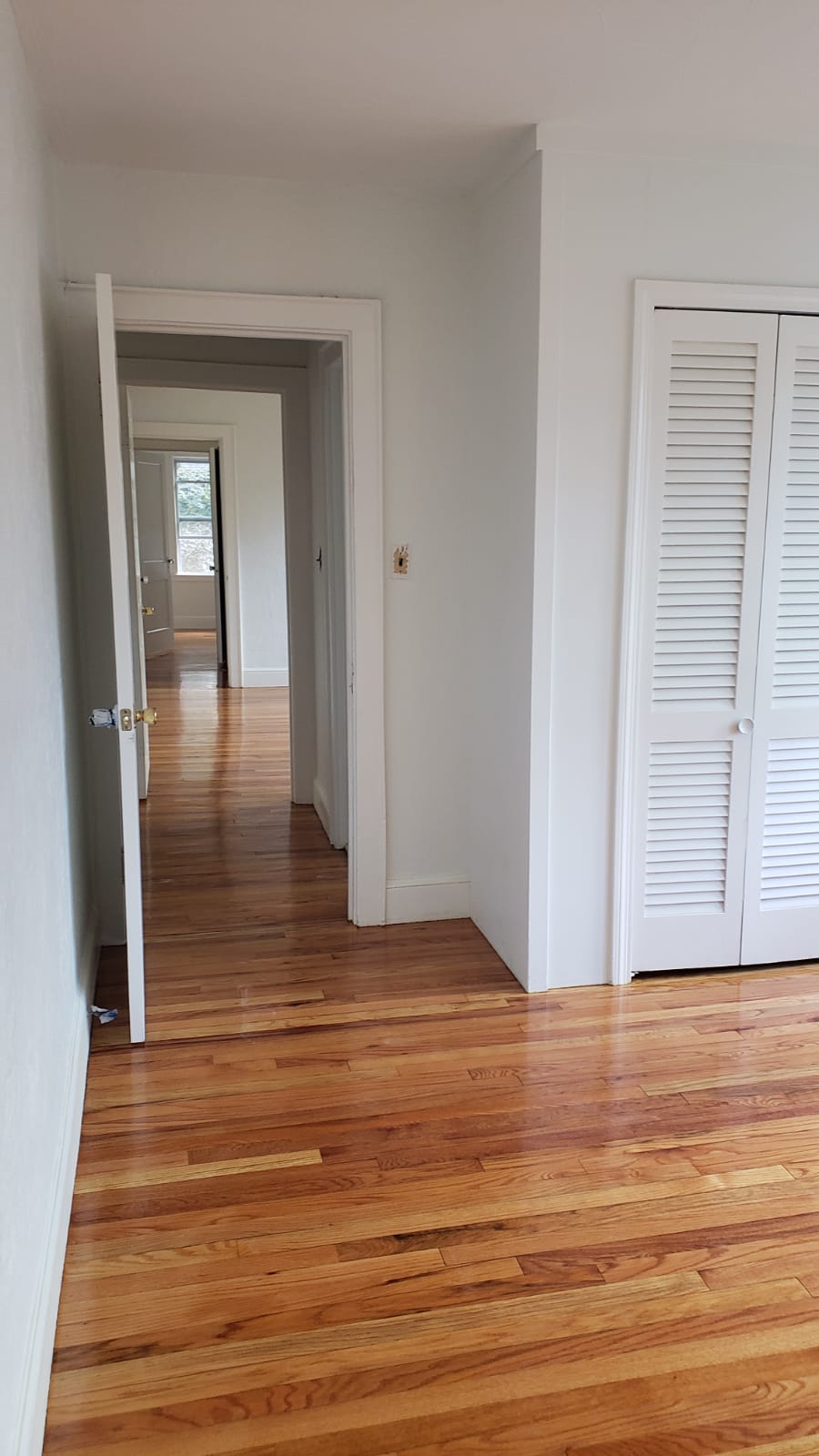 4 bed, 2 bath apartment for rent at 43 Hatherly Rd, Brighton — photo 18 of 50