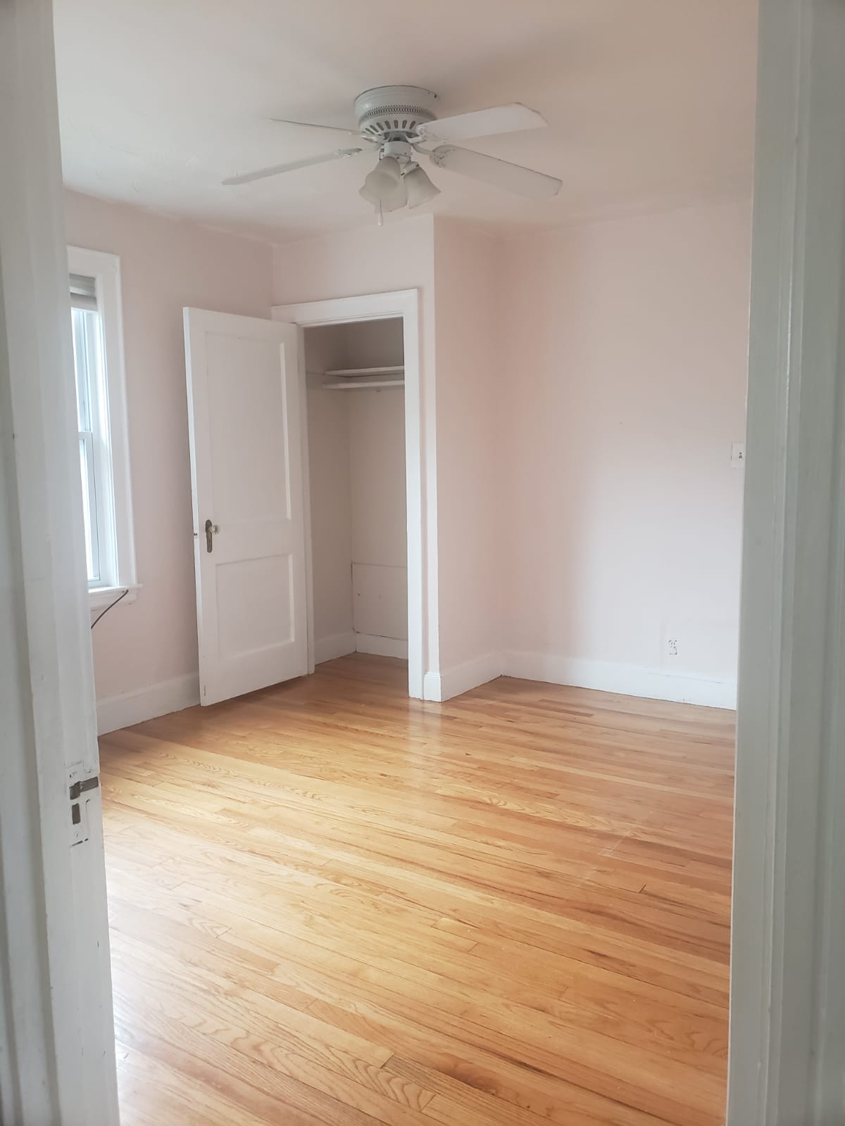 4 bed, 2 bath apartment for rent at 43 Hatherly Rd, Brighton — photo 30 of 50