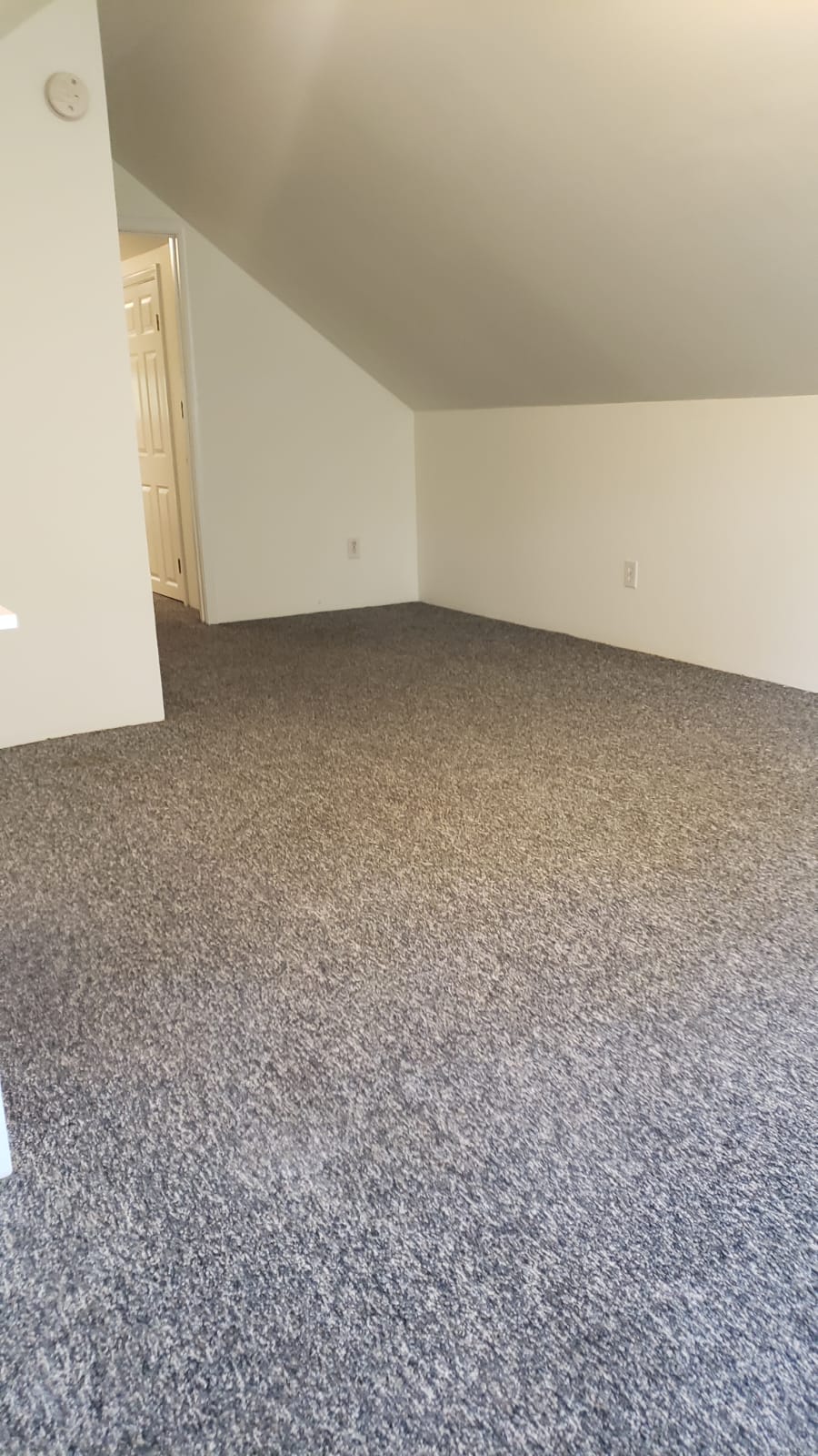 4 bed, 2 bath apartment for rent at 43 Hatherly Rd, Brighton — photo 11 of 50
