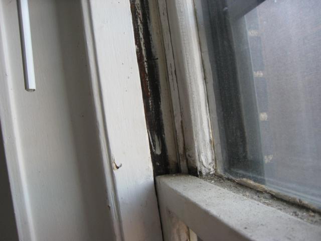 2003 Commonwealth Ave, Brighton