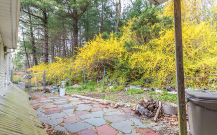 245 North Ave, Weston