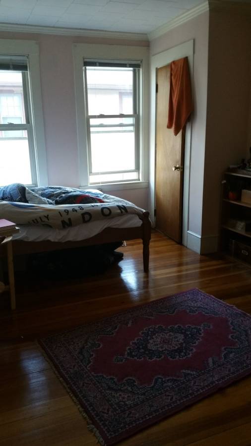 17 Cleveland St, Spring Hill