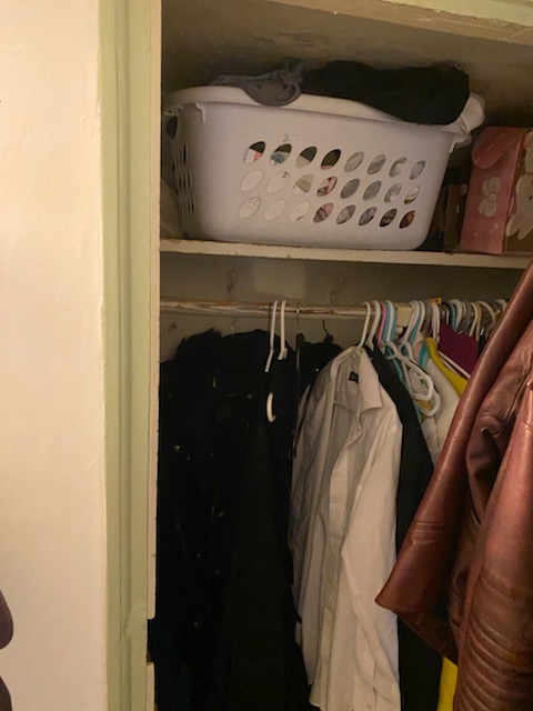 58 Anderson St, Beacon Hill