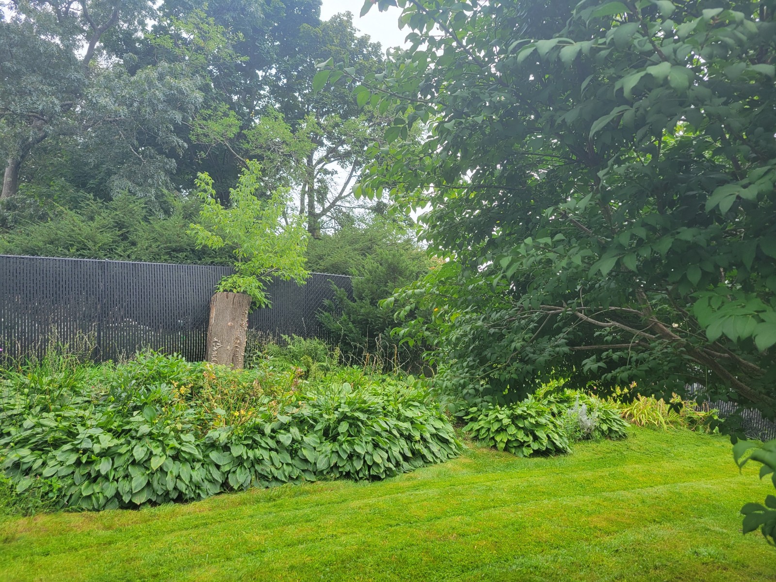 306 Lake St, Waltham