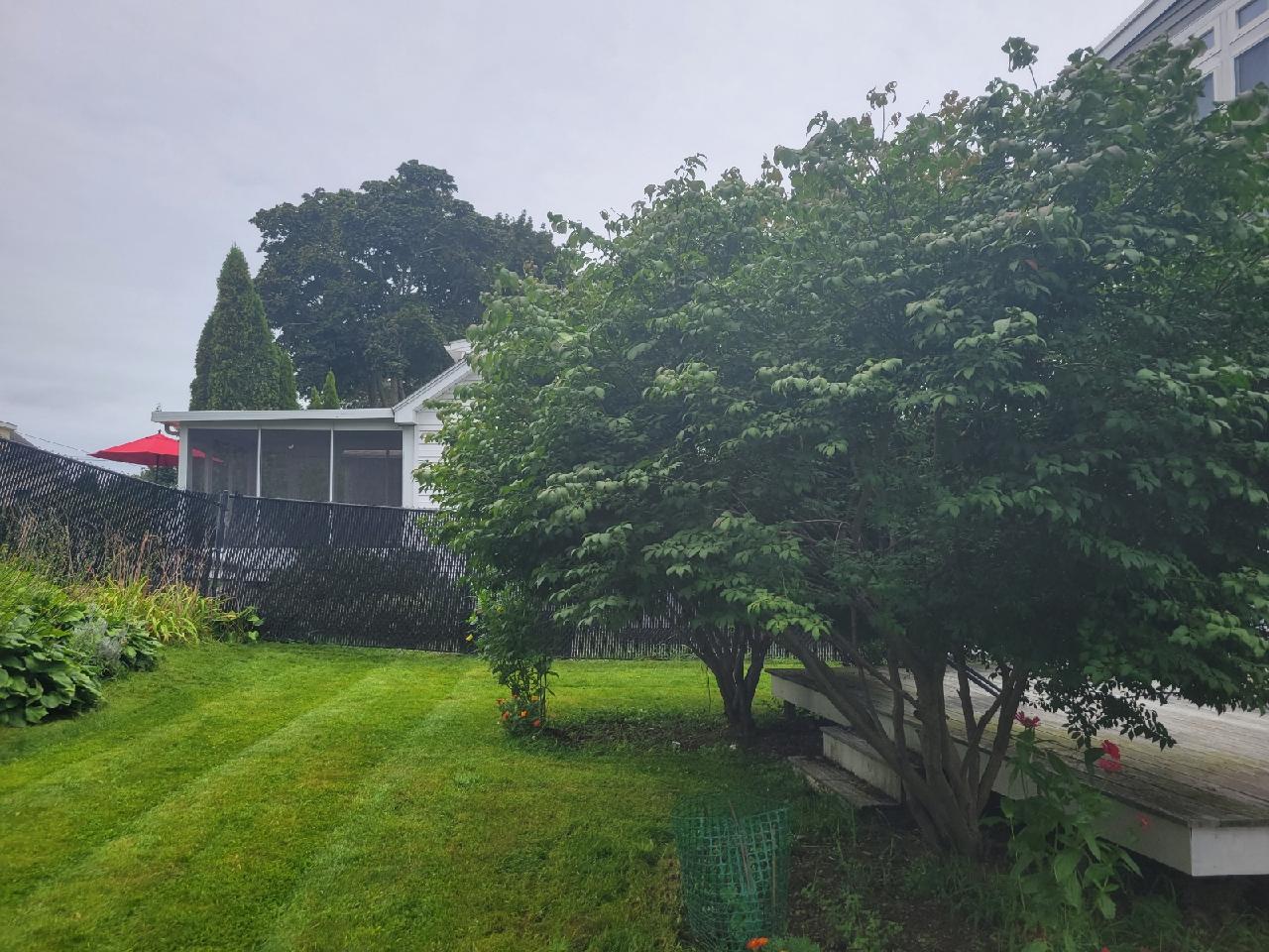 306 Lake St, Waltham