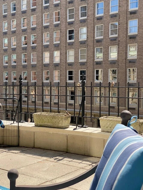 300 Boylston St, Back Bay