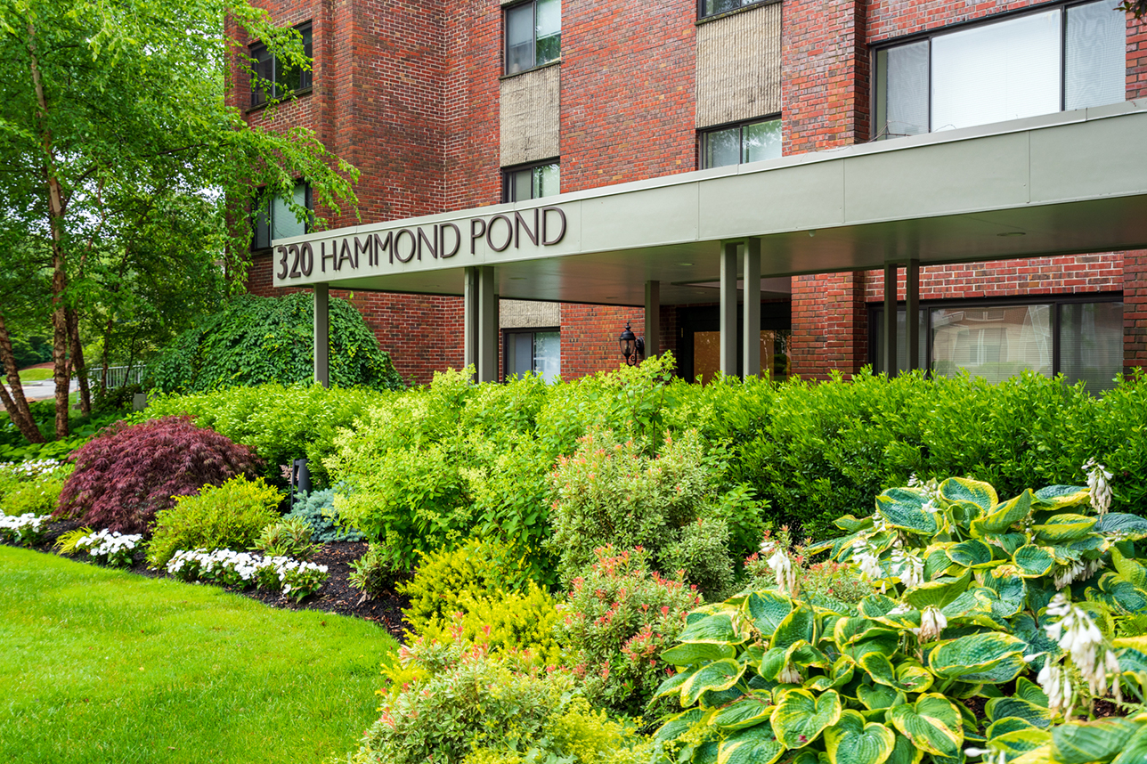 320 Hammond Pond Pkwy, Chestnut Hill