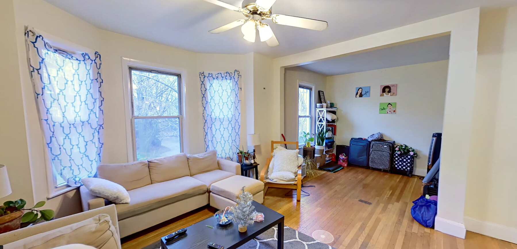 216 Freeman St, North Brookline