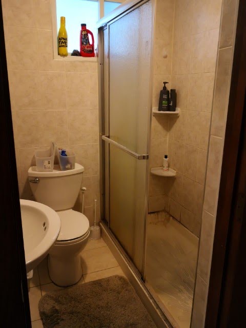 24 Hardwick St, Wellington-Harrington