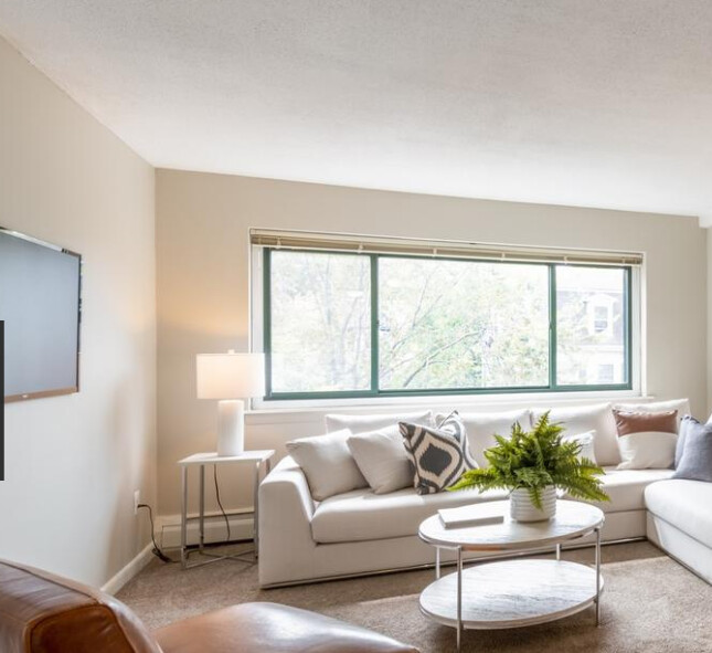 375 Harvard St, Harvard Square