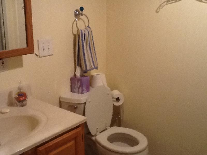 68 Greenough St, West Newton