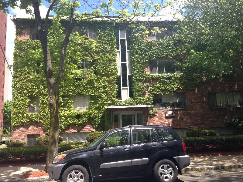 Studio bed, 1 bath apartment for rent at 45 Marion St, Coolidge Corner — photo 1 of 10