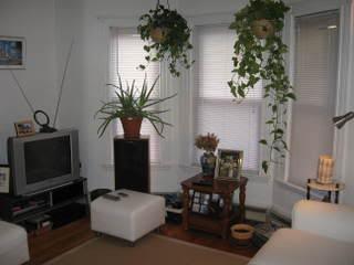 Photo 7 of Murdock St. Unit 1