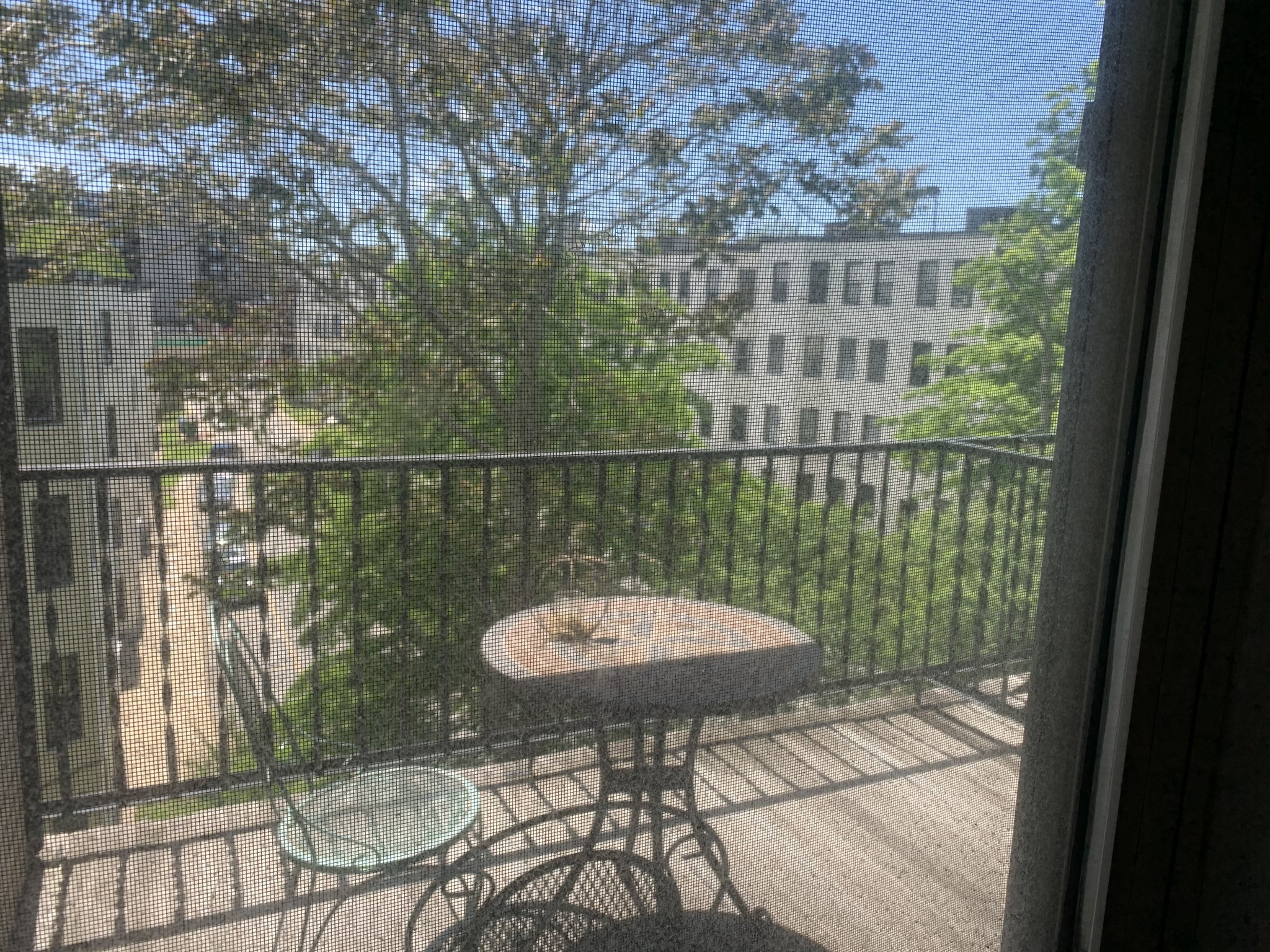 15 Melvin Ave, Brighton