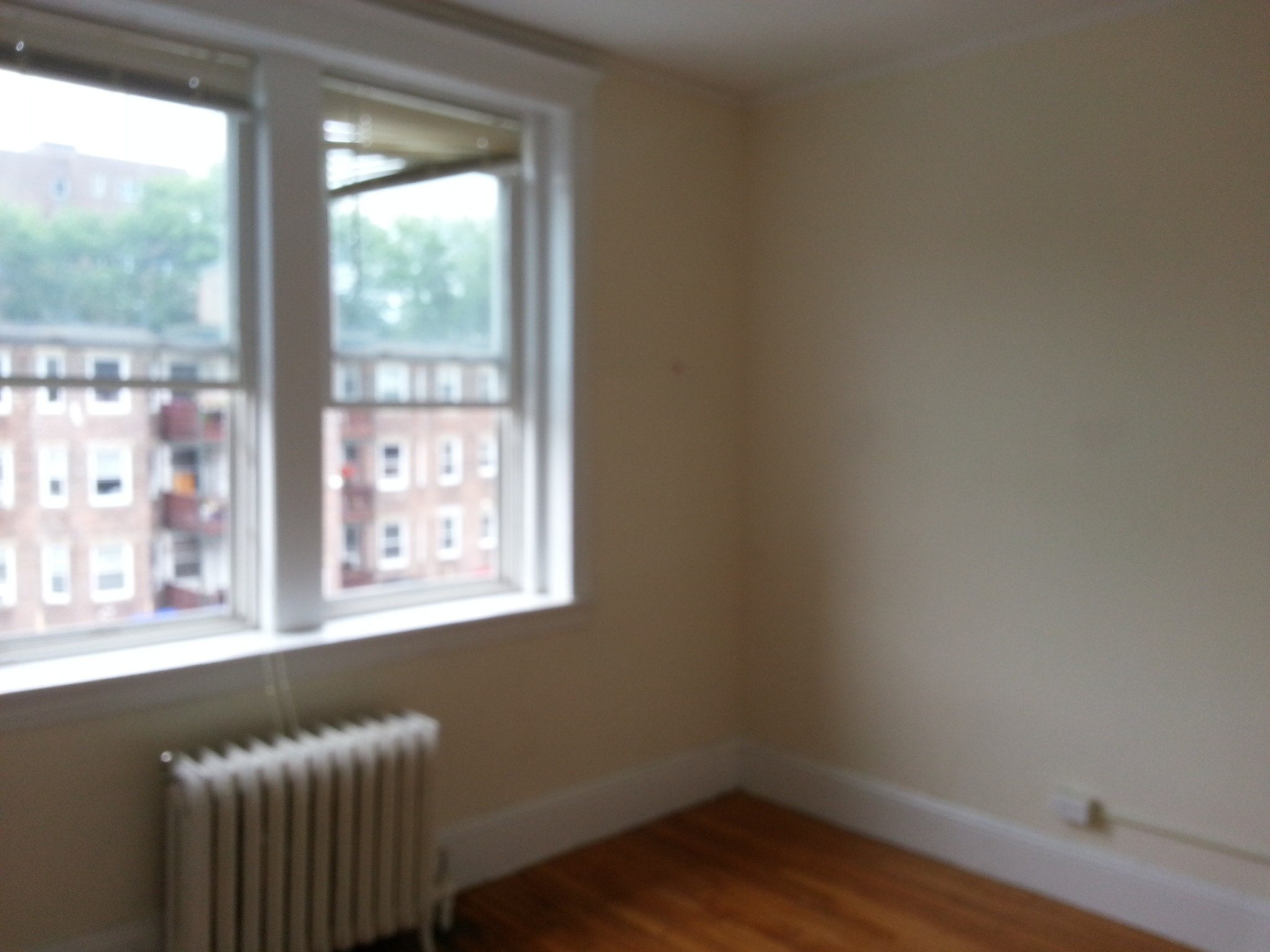 Photo 7 of Egmont St. Unit 6
