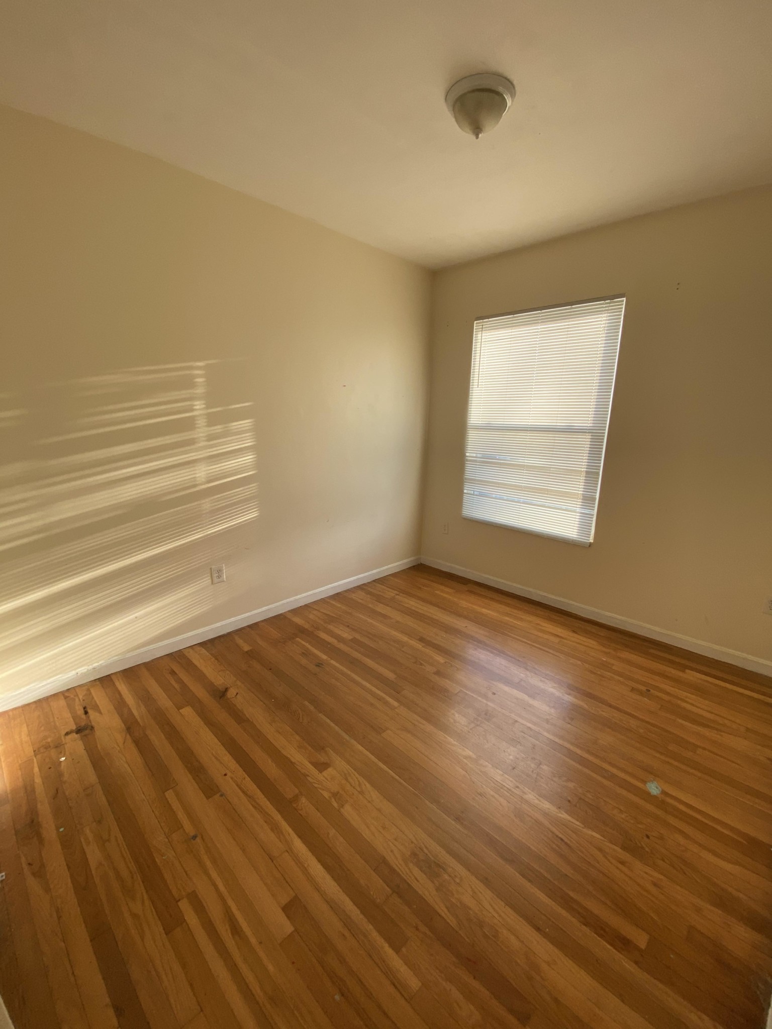 5 bed, 1 bath apartment for rent at 100 Winthrop St Unit 3, Roxbury — photo 2 of 11