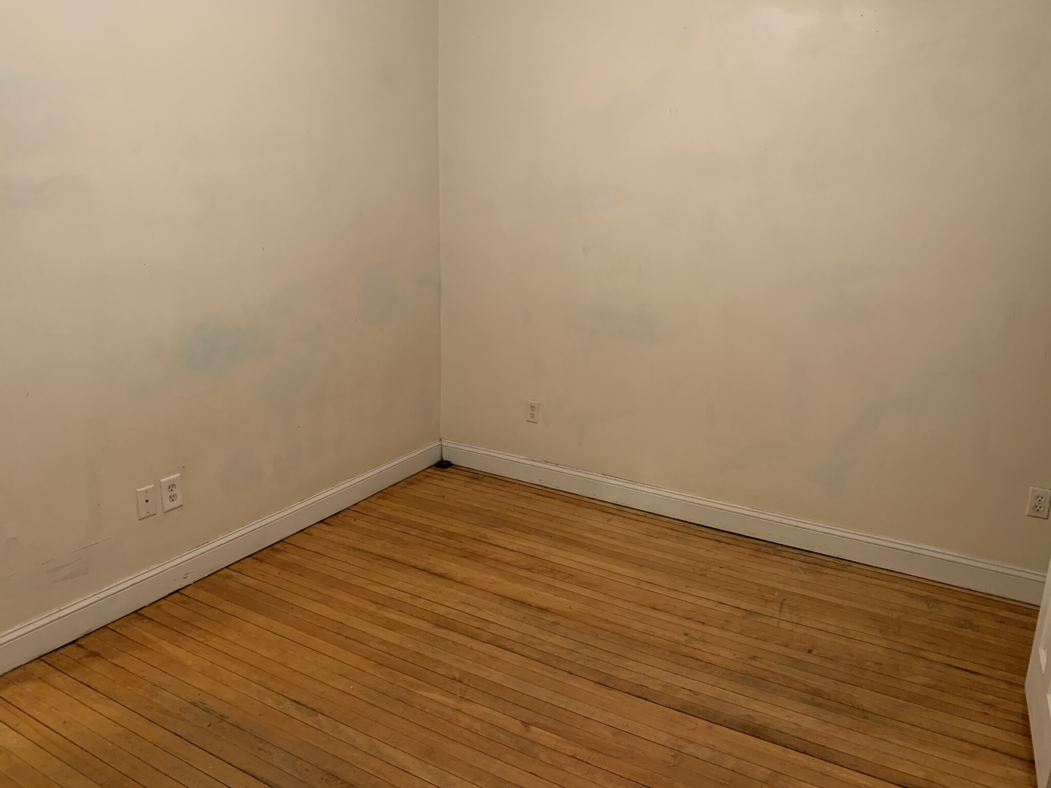 Studio bed, 1 bath apartment for rent at 55 Burbank St Unit 6, Fenway — photo 6 of 8