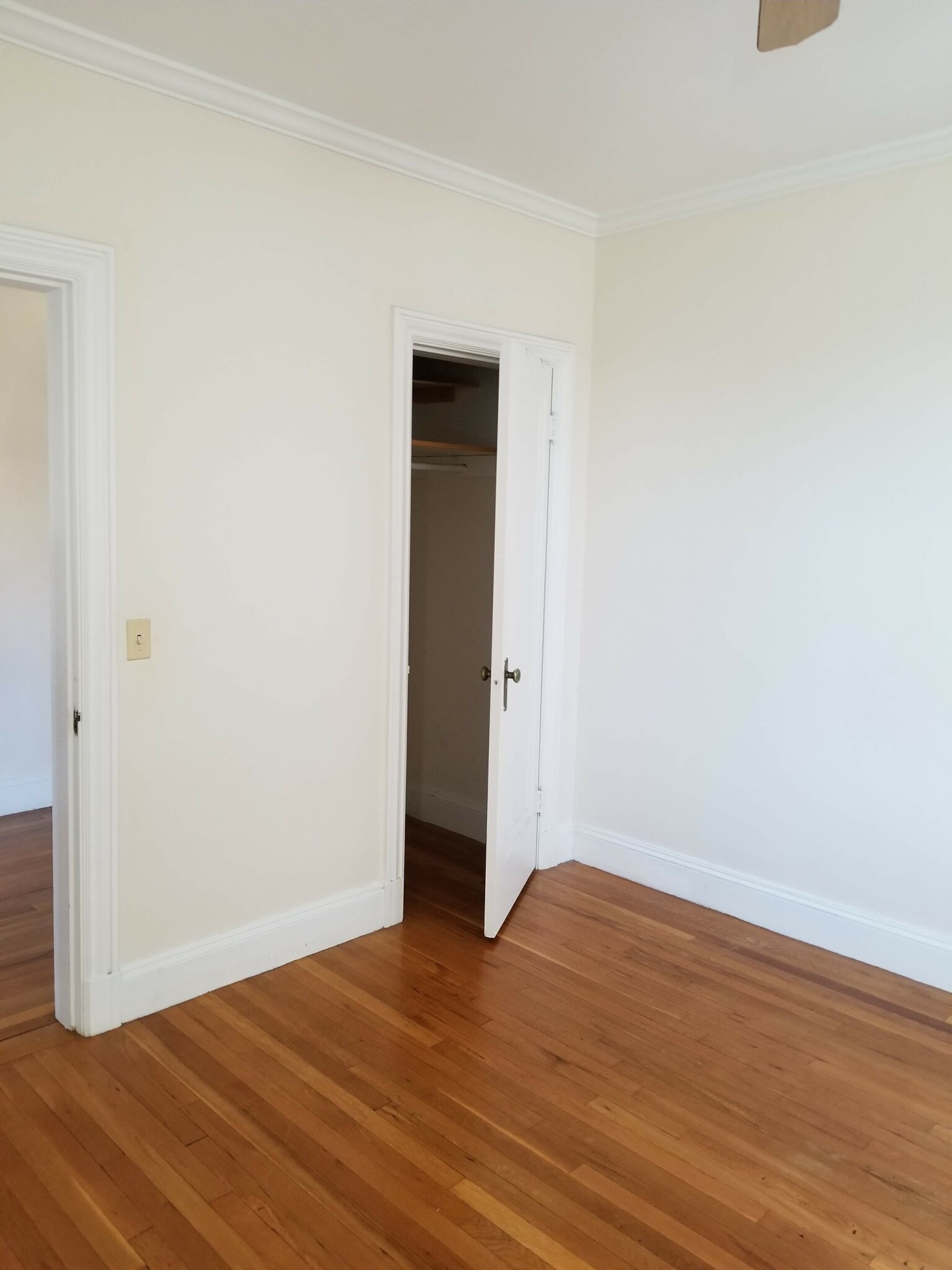 1 bed, 1 bath apartment for rent at 255 Kelton St Unit 4, Allston — photo 4 of 14