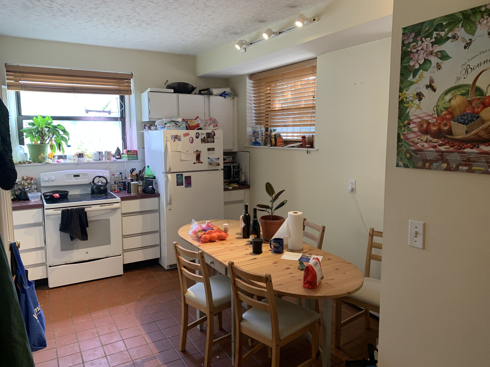 1 bed, 1 bath apartment for rent at 60 Charlesgate W Unit BB, Fenway — photo 2 of 18