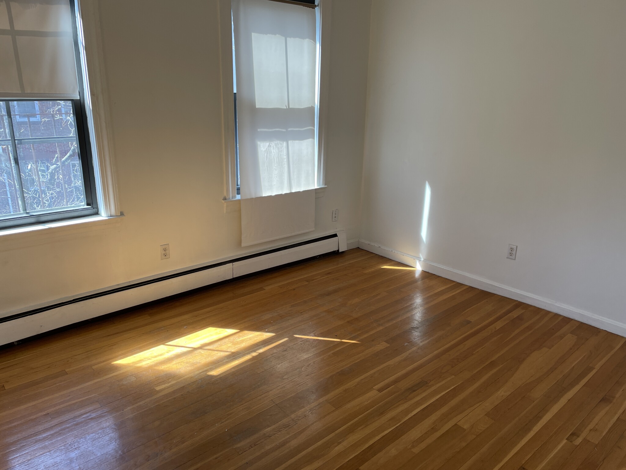 8 Milford St, South End