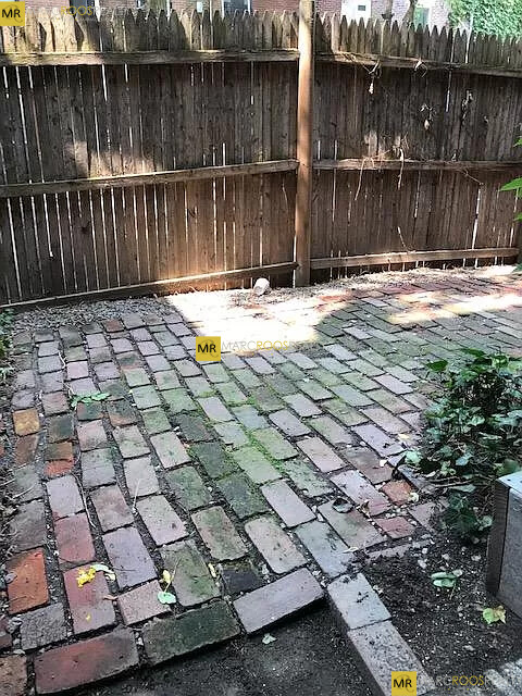 41 East Springfield St, South End