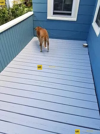 9 Anson St, Jamaica Plain