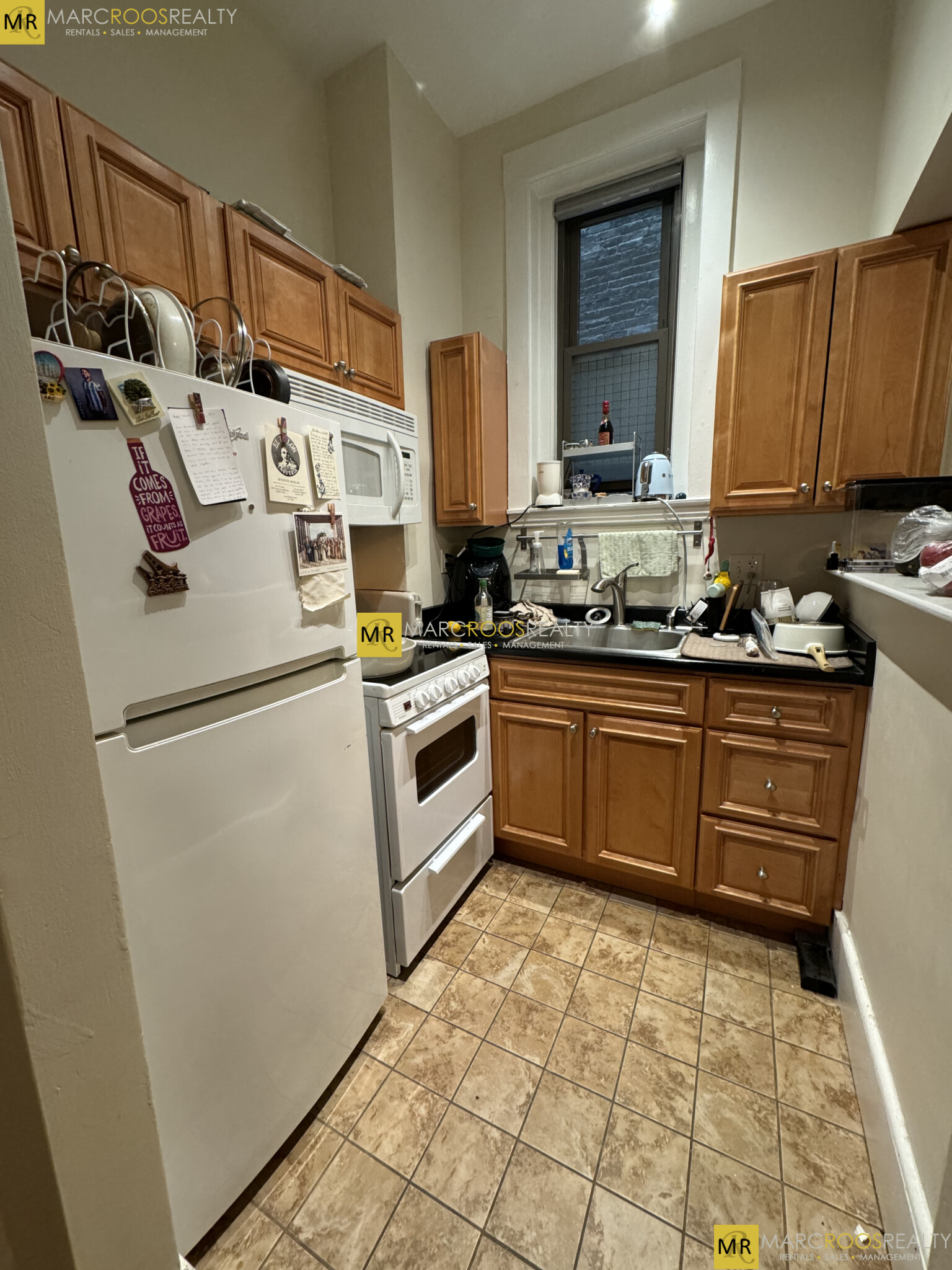 https://ygl-photos.s3.us-west-004.backblazeb2.com/75W684724cc71ab9.jpg
