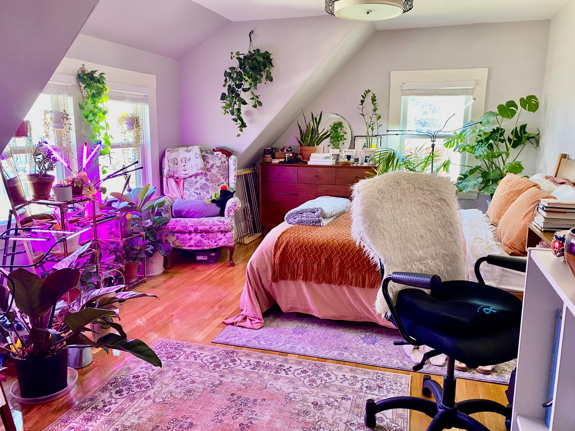 2 Sparhawk, Brighton