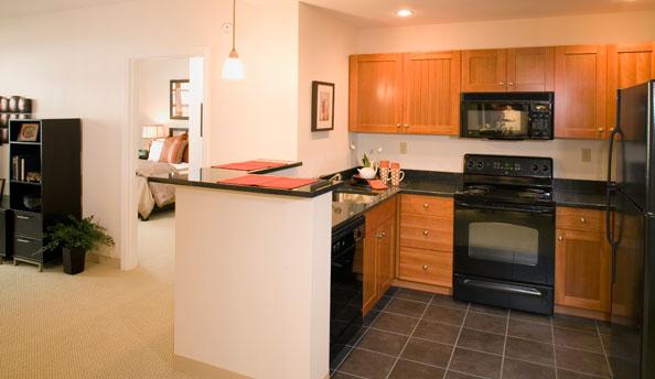 1 bed, 1 bath apartment for rent at 50-55 Station Landing Unit 1 BED, Medford — photo 18 of 50