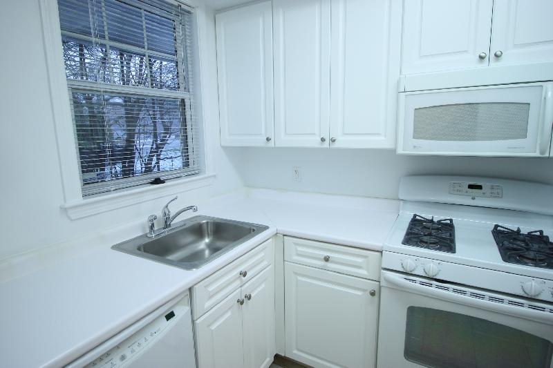 2 bed, 1 bath apartment for rent at 226 Independence Dr, Chestnut Hill — photo 15 of 18