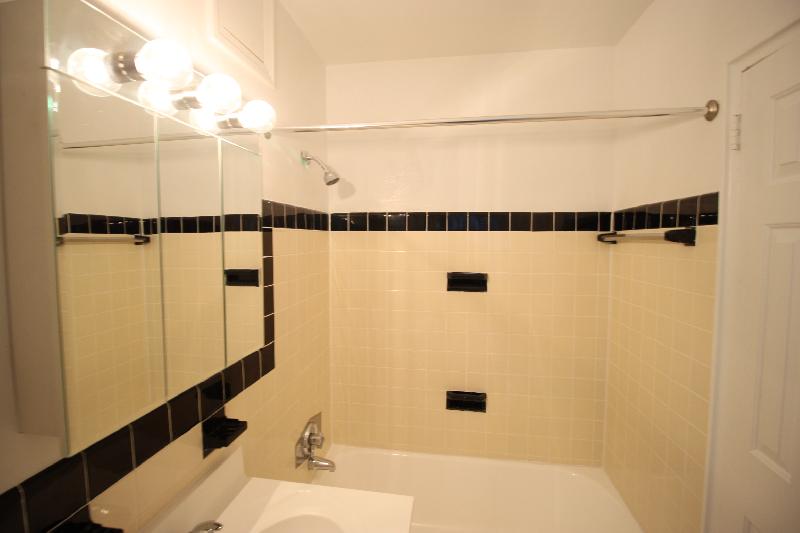 252 Independence Dr, Chestnut Hill