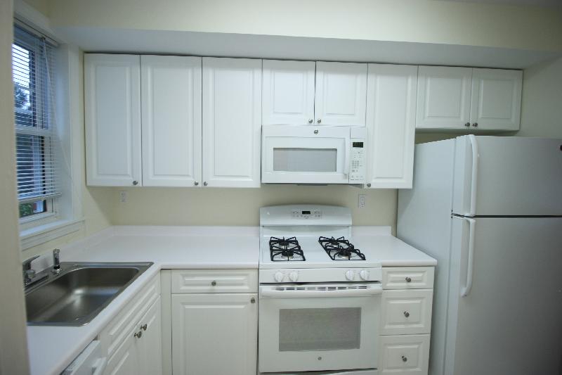 252 Independence Dr, Chestnut Hill