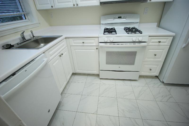 252 Independence Dr, Chestnut Hill