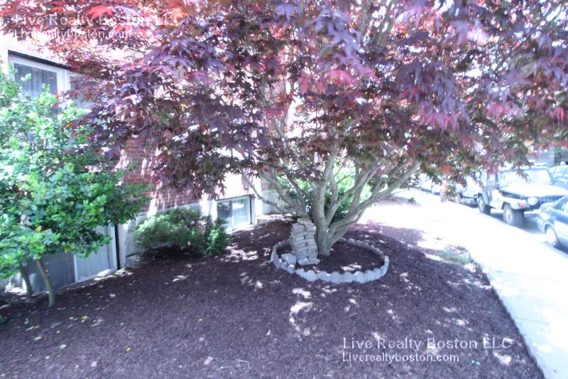 67 Chiswick Rd, Brighton