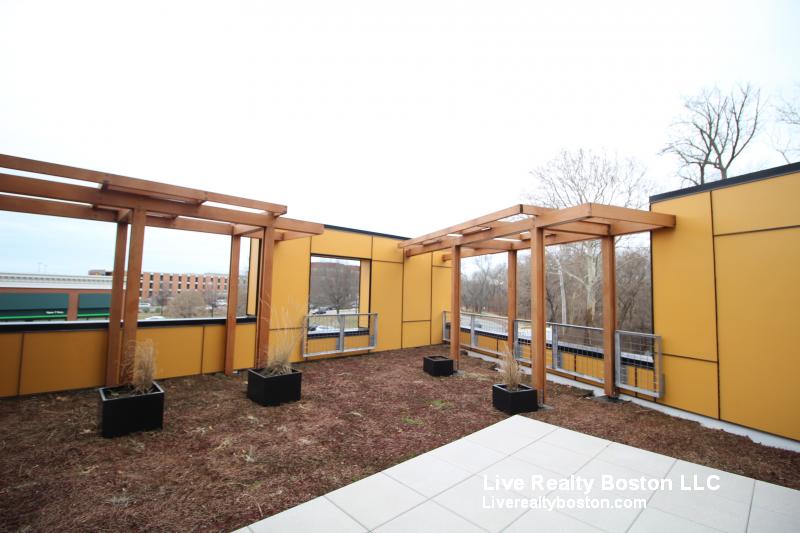 1 bed, 1 bath apartment for rent at 603 Concord Ave Unit 202, Cambridge — photo 7 of 11