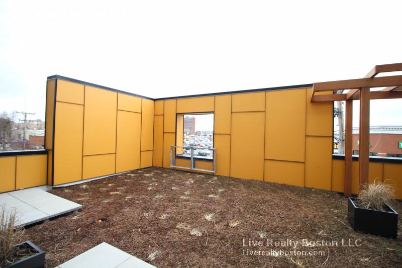 1 bed, 1 bath apartment for rent at 603 Concord Ave Unit 302, Cambridge — photo 3 of 11