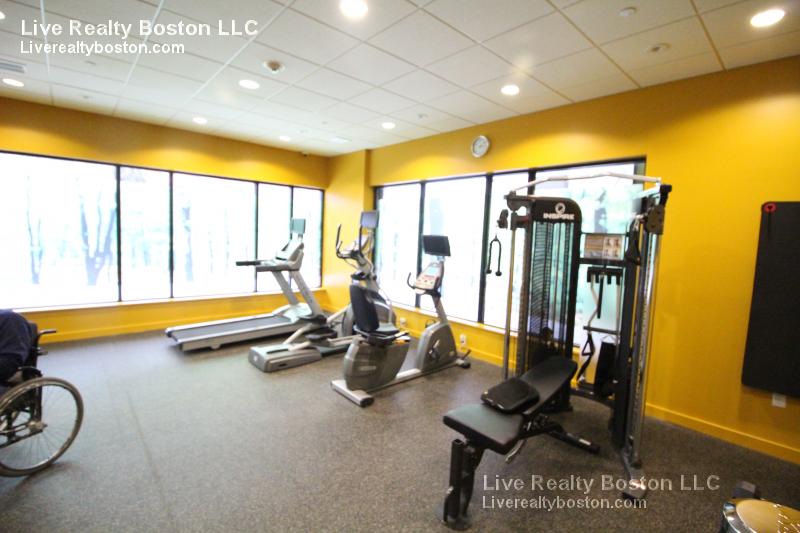 1 bed, 1 bath apartment for rent at 603 Concord Ave Unit 302, Cambridge — photo 8 of 11